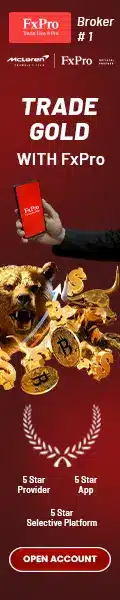 Top Forex Brokers Review